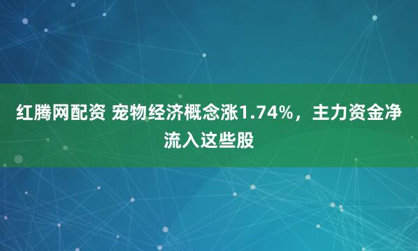 红腾网配资 宠物经济概念涨1.74%，主力资金净流入这些股