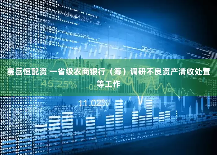赛岳恒配资 一省级农商银行（筹）调研不良资产清收处置等工作