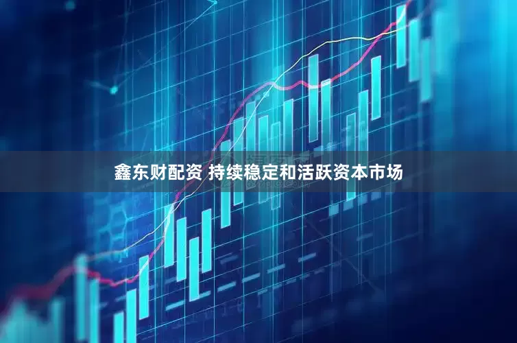 鑫东财配资 持续稳定和活跃资本市场