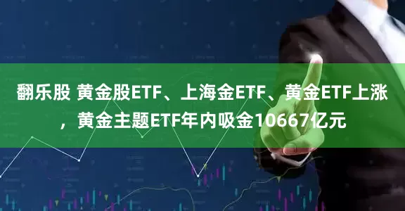 翻乐股 黄金股ETF、上海金ETF、黄金ETF上涨，黄金主题ETF年内吸金10667亿元