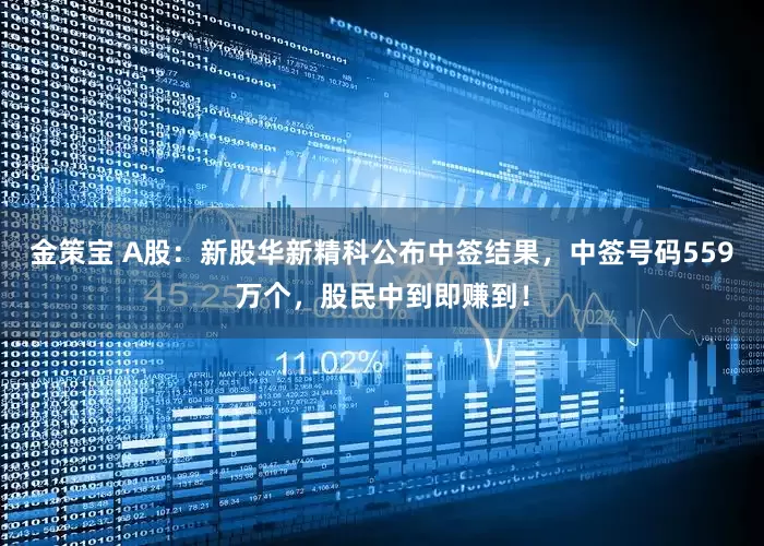 金策宝 A股：新股华新精科公布中签结果，中签号码559万个，股民中到即赚到！